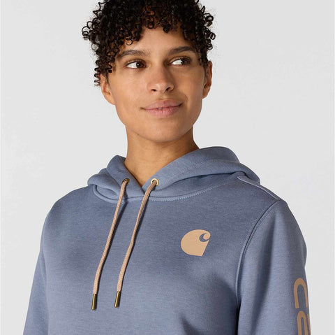 women's relaxed fit midweight logo sleeve graphic hoodie