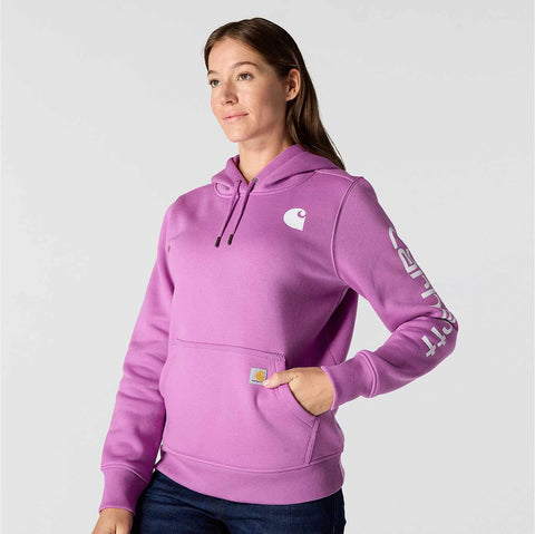 women's relaxed fit midweight logo sleeve graphic hoodie