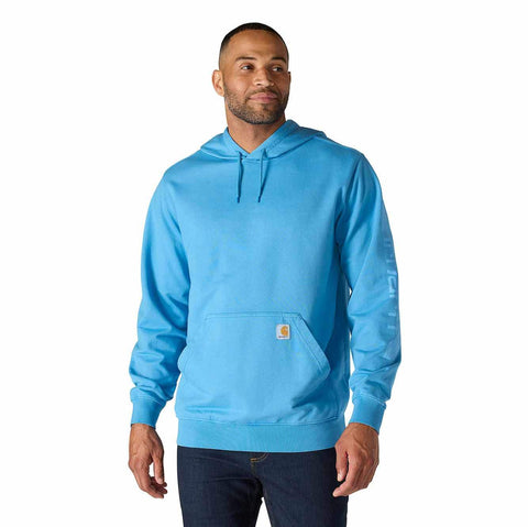 re-engineered relaxed fit midweight garment dyed french terry graphic sweatshirt