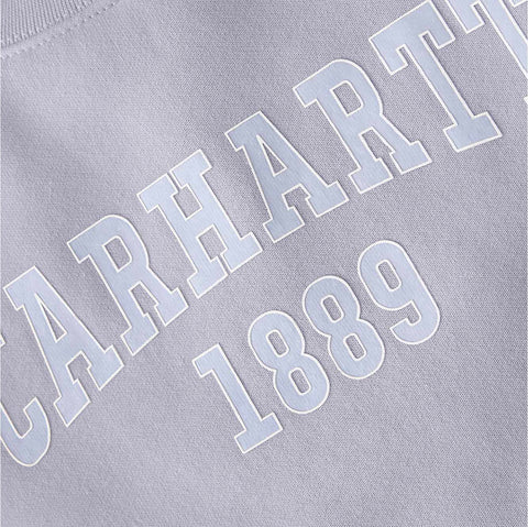 women's loose fit midweight carhartt graphic sweatshirt