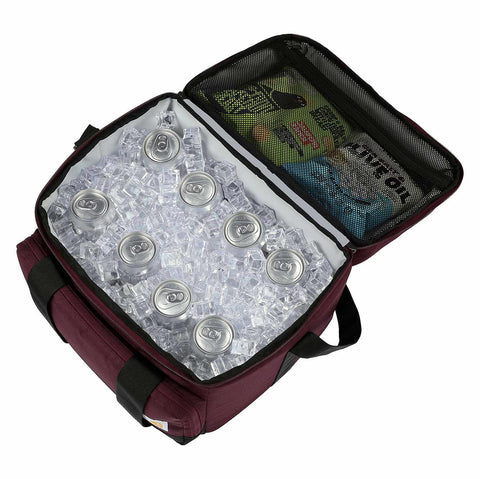 insulated 24 can two compartment cooler