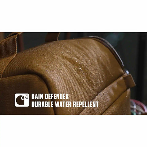 insulated 12 can two compartment lunch cooler