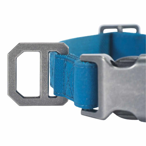 nylon duck dog collar