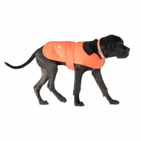 dog chore coat